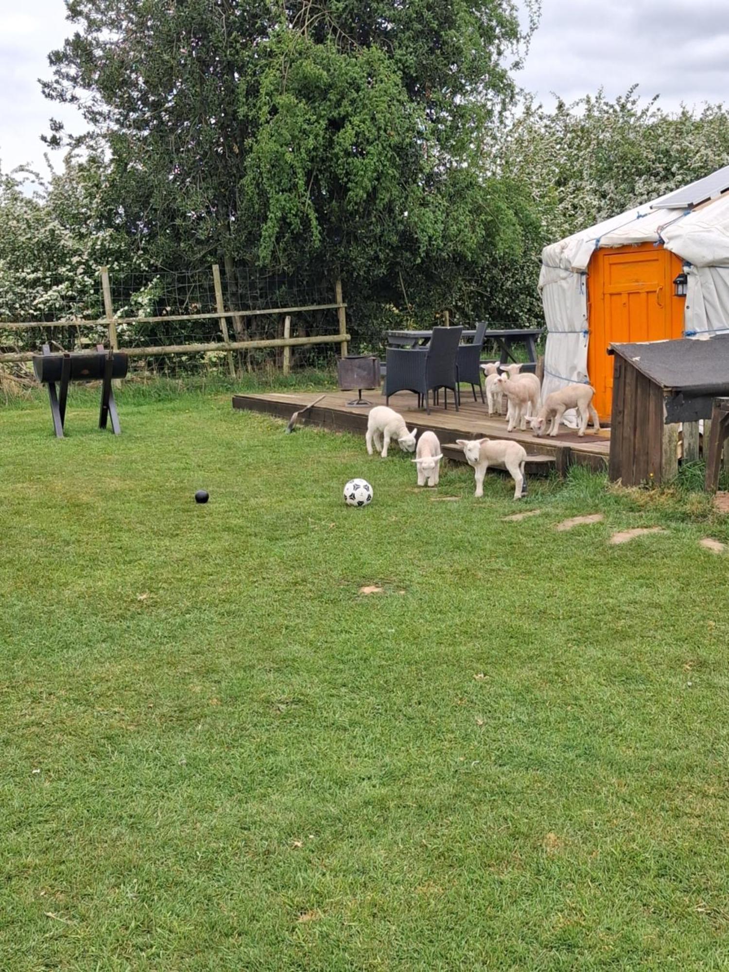 מלון Enville Glamping West Midlands מראה חיצוני תמונה
